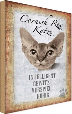 Produktbild von vianmo Holzschild 30x20 cm Cornish Rex Katze Tier Haustier