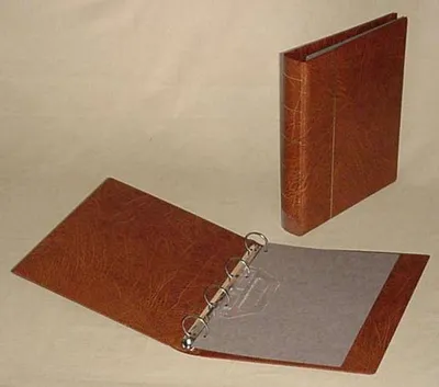 Produktbild von KOBRA-Ringbinder Combi Nr. R grün