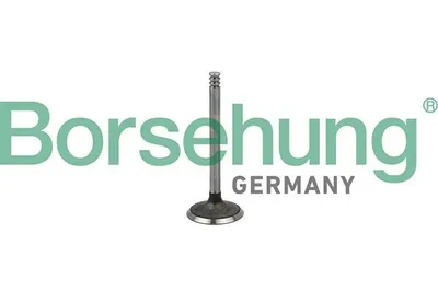 Produktbild von Borsehung B18998 Einlassventil für VW Golf IV Schrägheck (1J1)