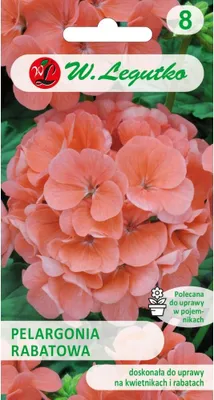 Zdjęcie produktu dla Nasiona pelargonii granicznej Gama F1 łosoś 0,05g - W.Legutko