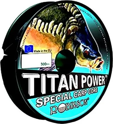 Produktbild von Robinson Titan Power Carp 0,350mm 150m