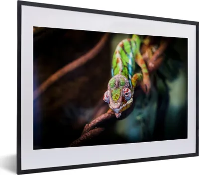 Produktbild von MuchoWow® MuchoWow® Gerahmtes Poster Kleines Chamäleon auf einem Ast 40x30 cm - Poster mit zchwarzem Bilderrahmen - Bilderrahmen - Poster im Rahmen
