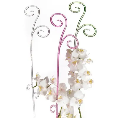 Produktbild von scheurich ORCHIDEENSTAB 48195 60cm Weiss