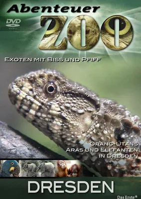 Produktbild von Abenteuer Zoo