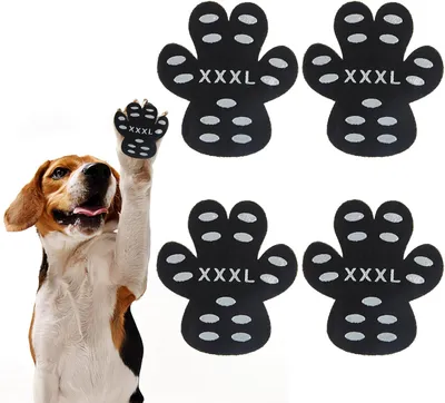 Immagine prodotto di Copriscarpe - Confezione da 24 - Taglia XXXL - Antiscivolo