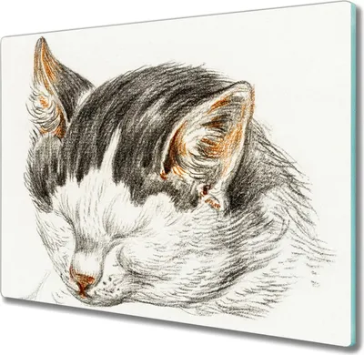 Produktbild von Coloray Herdabdeckplatte 60x52 cm Schneidebrett Kochplattenabdeckung Küchenbrett Hackbrett - Haustier Katze
