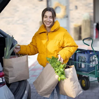 Produktbild von Praktischer Transportwagen für den Garten - Bollerwagen mit Luftreifen und Tragfähigkeit von 200 kg - Stahl grün Bollerwagen