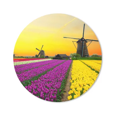Produktbild von MuchoWow® Mauspad Mousepad Windmühle - Tulpen - Blumen - Frühling 20x20 cm - Mousepads - Maus Mat - Pad - Mausunterlage - Schreibtischmatte