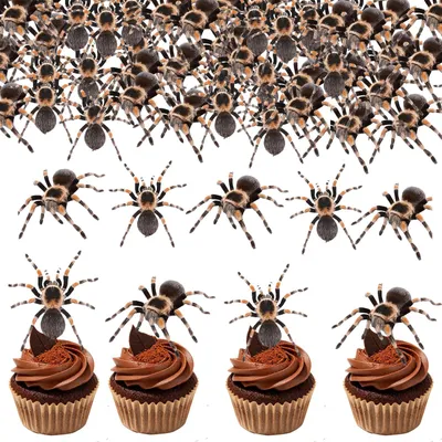 Essbare Spinnen 100 Stück Halloween Cupcake Deko