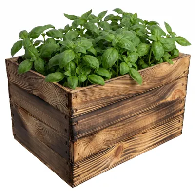 Produktbild von Creative Deco Holzkiste Vintage | 40 x 30 x 23 cm Kiste Holz ohne Schlitzen