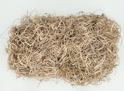 Produktbild von Tillandsia Moss natur 50g | Dschungelmoos