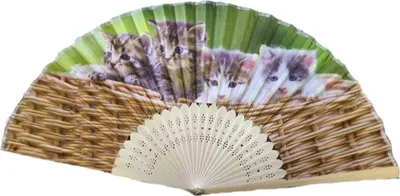 Produktbild von Fächer Katzen, 21 x 38 cm, Tier Tiere, Fasching Karneval Accessoire Handfächer Katze