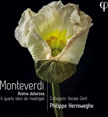 Produktbild von Herreweghe, P: Quarto Libro de Madrigali
