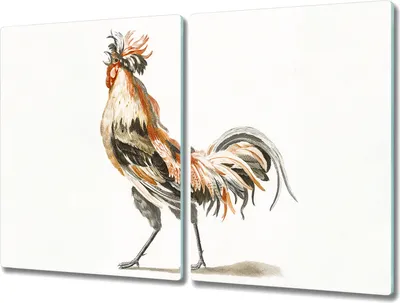 Produktbild von Coloray Hackbrett Küchenbrett Kochplattenabdeckung Schneidebrett Herdabdeckplatte 2x40x52 cm - Tier Vogel Huhn