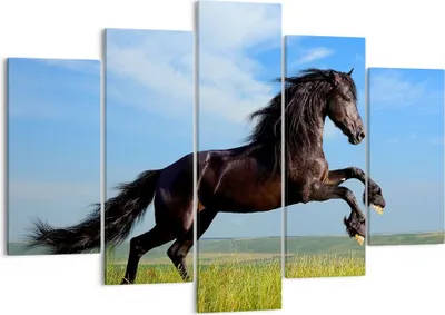 Produktbild von Bild auf Leinwand - Leinwandbild - Schwarzes Pferd Pferd Galopp - 150x100cm - Wand Bild - Wanddeko - Leinwanddruck - Bilder - Kunstdruck - Wanddekoration - Leinwand bilder - Wandkunst - EA150x100-0495
