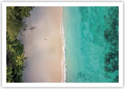 Produktbild von Poster - Poster ohne Rahmen - Strand Tropen Rand - 100x70 cm - Wand Bild - Wanddeko - Wandbilder - Kunstposter - Wandposter - Bilder - Kunstdruck - Wanddekoration - Wandbild - P2XAA100x70-5000