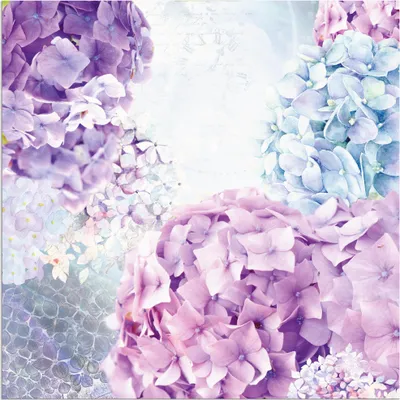 Produktbild von ARTland Wandbild Alu für Innen & Outdoor Blau und Pink Hortensie Größe: 70x70 cm
