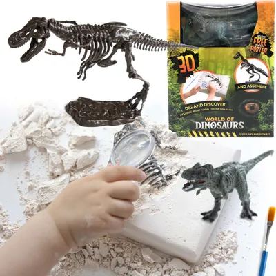 Produktbild von Spielzeug Ausgrabungsset Dinosaurier Skelett - Dino Archäologie Spiel Set für Kinder | Realistisches 3D Skelett inkl. Dino Figur z.B. T-Rex | Dinoknochen zum ausgraben und zusammenbauen