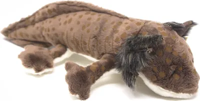 Produktbild von Cornelissen Kuscheltier Axolotl natur