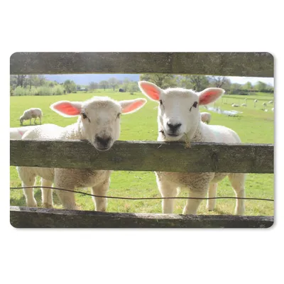 Produktbild von MuchoWow® Schreibtischunterlage Schafe - Tiere - Bauernhof 60x40 cm - XXL Mauspad - Großes Mauspad