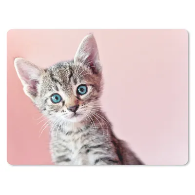 Produktbild von MuchoWow® Mauspad Mousepad Kätzchen - Blau - Rosa 23x19 cm - Mousepads - Maus Mat - Pad - Mausunterlage - Schreibtischunterlage - Mauspad