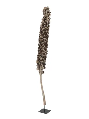 Imagen del producto de EUROPALMS, rama de coco, aproximadamente 120-190 cm (83502349)