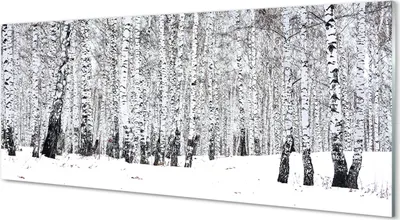 Produktbild von Glasbilder 125x50 Wandkunst Winter Birken