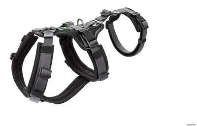 Produktbild von HUNTER Sicherheitsgeschirr Maldon XS-S, schwarz/grau