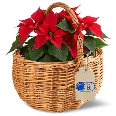 Produktbild von Creative Home Kleiner Weidenkorb mit Griff | Klein 22 x 22 x 26 cm (+/- 2 cm) | Handgeflochtener, kleiner Osterkorb, Geschenkkorb, Obstkorb, Bügelkorb| Naturfarbe