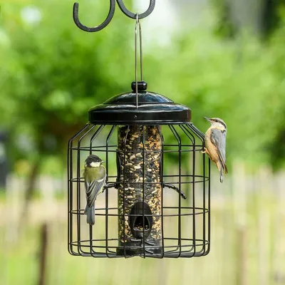 Produktbild von CJ Wildlife Futtersäule Vögel - 2-in-1 Vogelfutterspender zum Aufhängen mit Schutzgitter - pulverbeschichtetes Metall schwarz - eichhörnchensicher