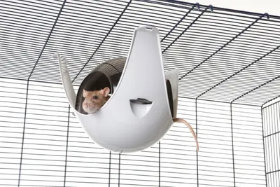 Productafbeelding van Savic Ratten-/Nagetierhaus Sputnik XL Savic Gebr. de Boon