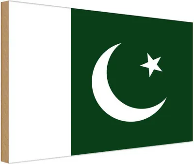 Produktbild von vianmo Holzschild 30x40 cm Pakistans Pakistan Flagge Fahne Wappen
