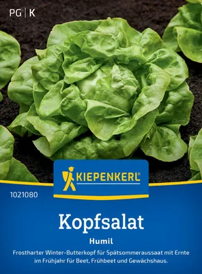 Produktbild von Kiepenkerl Kopfsalatsamen Humil Lactuca sativa 150 Pflanzen