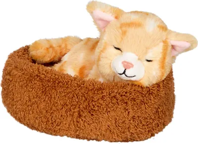 Produktbild von Coppenrath 22302 - Die Spiegelburg - Lustige Tierparade - Schlafende Katze Chloe im Korb