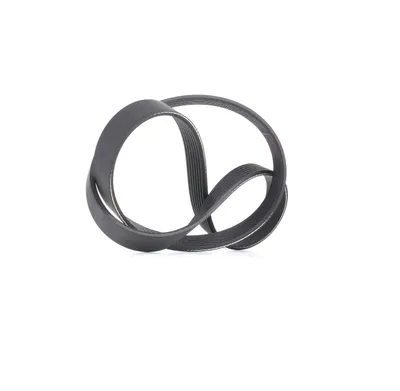 Produktbild von DAYCO Keilrippenriemen 1076,0mm für FIAT Ducato Kastenwagen (250, 290) 7PK1076
