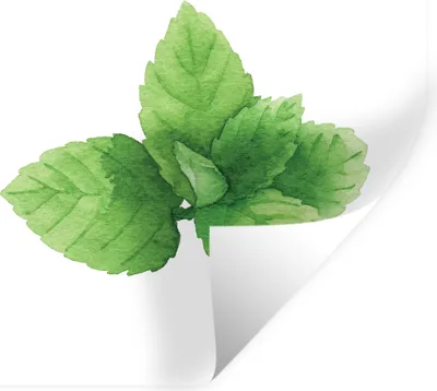 Produktbild von MuchoWow® - Wierderverwendbar - Selbstklebend
