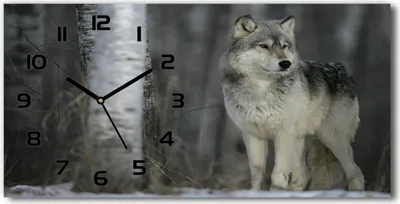 Produktbild von Wanduhr aus Glas – 60x30 cm - Glasbild - Glasuhr - Gehärtetes Glas - schwarze-zeiger - grauer Wolf