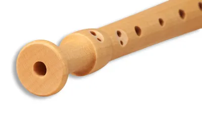 Produktbild von Mollenhauer Blockflöte 17413 Fipple Dege Sopranblockflöte in c", seeblau, Kunststoff/Ahorn, barock Doppelloch