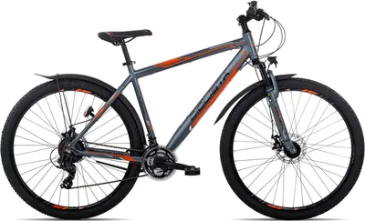 Produktbild von Ciclista Adventure 29 Disc All-Terrain-Bike ab 14 Jahren 29 Zoll Dunkelgrau 48 cm