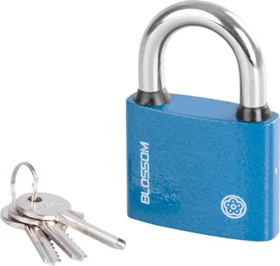 Image de Cadenas Blossom BC29 60 mm, Unique