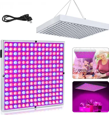 A collage of images showing a grow light, its components, and its use in gardening.
