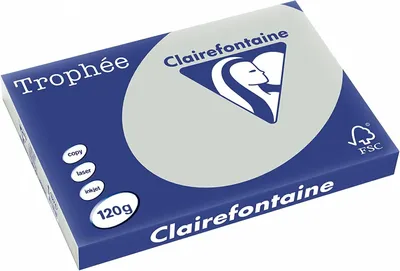 Produktbild von Clairefontaine Trophée Stahlgrau 120g/m² DIN-A3 - 250 Blatt