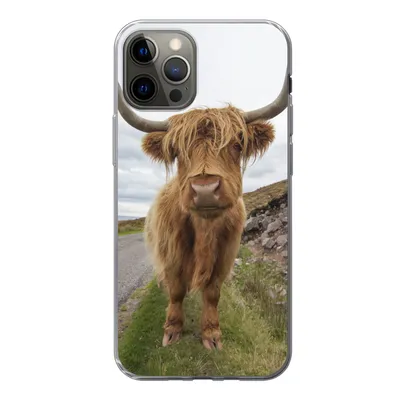 Produktbild von MuchoWow® Handyhülle Schutzhülle Hülle für iPhone 13 Pro Schottischer Highlander - Hörner - Berg Silikon Softcase Handy Hülle - Handy-Tasche