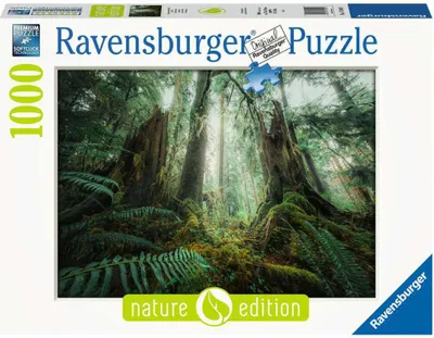 Zdjęcie produktu dla Fascynujcy las Ravensburger 17494