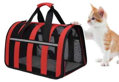 Image de Cage de transport pour chats, respirante, pliable, de couleur rouge, dimensions : 40 x 27 x 24 cm