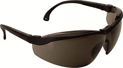 Immagine prodotto di Occhiali protettivi Climax 595: protezione oculare antiurto e anti-UV - Climax