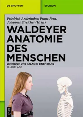 Produktbild von Waldeyer - Anatomie des Menschen