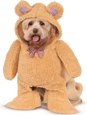 Produktbild von Teddy Bär Hunde-Kostüm Größe: S