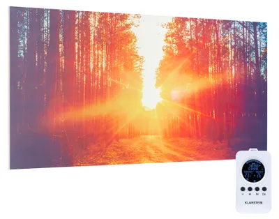 Produktbild von Klarstein Infrarotheizung mit Thermostat, 720W Elektroheizung, Bild-Infrarotheizung zur Wandmontage, IR Paneel mit Fernbedienung & Timer, Feuchtraum Flach-Heizkörper, CO2-Freie Wand Heizung
