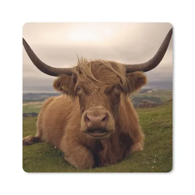 Produktbild von MuchoWow® Mauspad Mousepad Schottischer Highlander - Tiere - Berg 30x30 cm - Mousepads - Maus Mat - Pad - Mausunterlage - Gaming